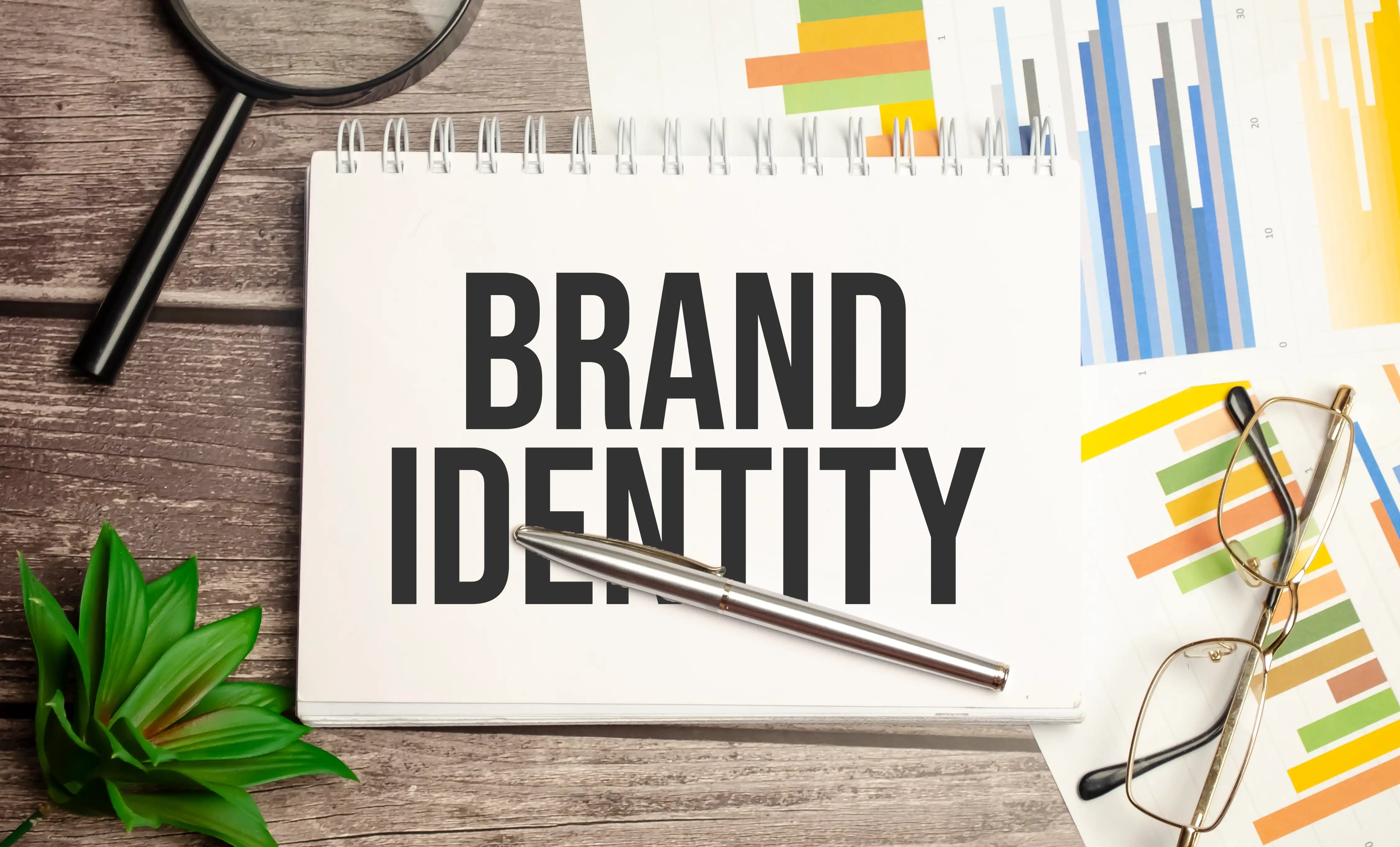 Branding and visual identity design – WolfNova